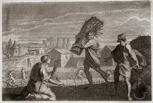 Bibeln om Royaumont, Gamla testamentet: Rut följer sin svärmor Noemi (Naomi, Noemie) i Juda land och skördar Boas (Boas) vetefält. Illustration från 1811. av Unknown artist