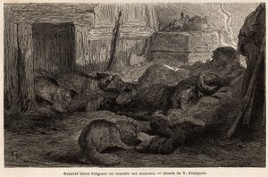 Blårävar som gnager skorna på sjömän som sover i observationsstationens tillflyktsort, teckning av V.Foulquier, för att illustrera Spitzberg av Unknown artist