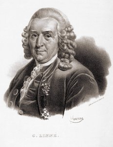 Carl Von Linné svensk naturforskare och författare (1707 - 1778). av Unknown artist