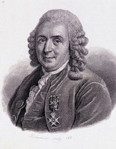 Carl Von Linné svensk naturforskare och författare (1707 - 1778) - i "Porträtt av nyttiga män"" av Unknown artist