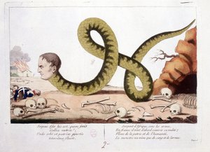 Tecknad film om Napoleon som jag representerade som en orm. Snake of Africa under vapen, i Frankrike kom han först för att täcka sin nakenhet; Gissel av hemland och mänsklighet, monstret levde bara med blod och tårar. - i Napoleon I, karikatyrer, dummysaml av Unknown artist