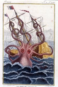 Kolossal bläckfisk (bläckfisk, jättebläckfisk, kraken) attackerar ett skepp (skepp, skepp) - gravering av boken av Pierre Denys-Montfort (Denys de Montfort 1766-1820) "" Histoire naturelle des mollusques", originalutgåva från 1802) - av Unknown artist
