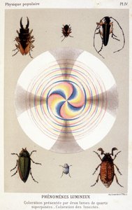 Färgläggning presenterad av två överlagrade kvartsblad, färgande insekter - i "" La physique populaire"" av Emile Desbeaux av Unknown artist