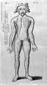 De Acupunctura av W.Ten Rhijn. London 1683. Första västerländska text som handlar om akupunktur. av Unknown artist