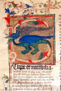 Dragon Decoree Lettrine Detalj av 1300-talsmanuskript av Unknown artist