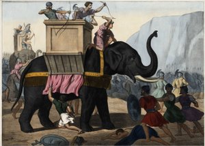 Eleazar Maccabee (Maccabee eller Maccabee) kämpar tillsammans med judarna mot Seleucidernas förtryck. Anonym gravyr från mitten av 1800-talet. av Unknown artist