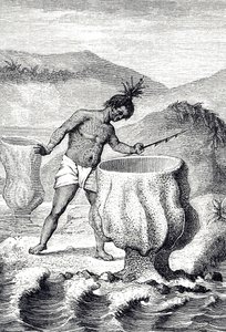 Gravyr som visar en mängd olika svampar som kallas Neptunus bägare (Thalassema Neptune) av Unknown artist