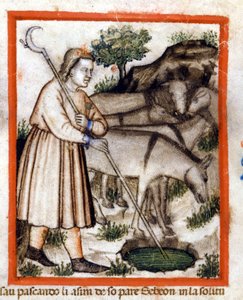Esa betar åsnor - Pentateuchen. Miniatyrer från codex 212 (eller Padovano Codice eller Bible of Padua) 1390-1400 Rovigo, Accademia dei Concordi av Unknown artist