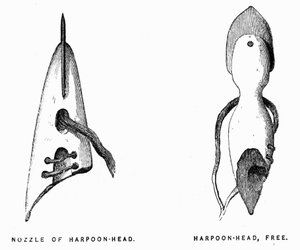 Eskimo Harpoons - Elisha Kent Kane, Artic Exploration i åren 1853-1855, Philadelphia, Childs och Peterson av Unknown artist