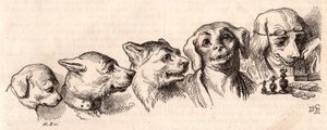 Evolution av en hund till en mänsklig form av Unknown
