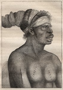 Expedition av Antoine Bruny (Bruni) d