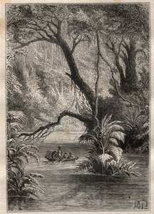 Expedition till Amerika (1799-1804) av Alexander von Humboldt (1769-1859) och Aime Bonpland (1773-1858): upptäcktsresandena går ner till Orenoque, omgivna av Amazonas gigantiska träd (Cano Pimichin, Venezuela) - illustration tagen från "The Great av Unknown artist
