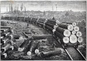 Exploatering av USA:s skogar. Tillfälliga järnvägar med träspår. Vagnar som bär trädstammar. Gravyr i "" La Nature"" av Unknown artist