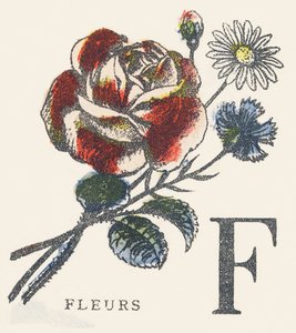 F: blommor av Unknown artist