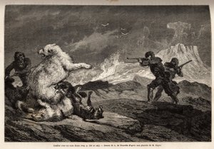 Slåss med en isbjörn som skyddar hennes bebis, flocken hundar anfaller henne och jägarna, gevärsvapen, väntar på rätt tidpunkt för att skjuta henne. Gravyr för att illustrera resan till den arktiska polens fria hav, av doktor Hayes, kirurg i USA av Unknown artist