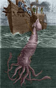 Fiske en gigantisk bläckfisk av den franska korvetten l