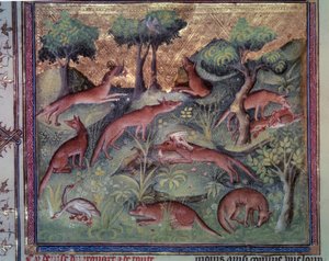 Rävjakt fjäderfä. Miniatyr från manuskriptet "" Le livre de la chasse"" (folio 34v) av Gaston Phoebus (1331-1391) dit Gaston III Comte De Foix av Unknown artist