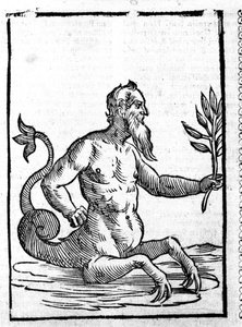 Glaucos med det magiska gräset som gör att han kan leva i havet - i Mythologiae sive explanationum fablerum de Natalis Comitis. Patavia av Unknown artist