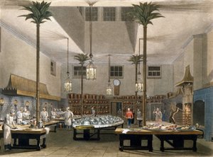 Grand Hotel: köken på Great Pavillon Hotel i Brighton. 1850 av Unknown artist