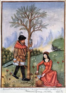 Skörda en balsam - Bok med enkla mediciner av Unknown artist
