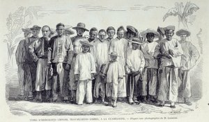 De franska koloniernas historia: Kinesiska immigranter som arbetar i Guadeloupe. Teckning efter fotografi av Chartres musee des Beaux Arts från det sena 1800-talet av Unknown artist