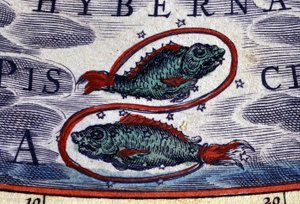 Horoskop: zodiakens tecken, Fiskarna. 1500-talsgravyr. av Unknown artist
