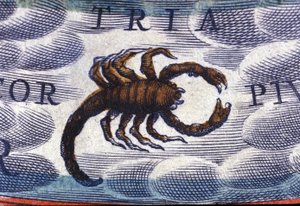 Horoskop: zodiakens tecken, skorpionen. av Unknown artist