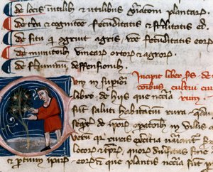 Trädgårdsodling: skörd av frukt. Detalj. Manuskriptsida (MS.s.vi) "" Agrarian Treat "" av Pietro de Crescenzi (Crescent Stone eller Crescens Stone) (1233-1320) 1300-talets Cesena, Biblioteca Malatestiana av Unknown artist