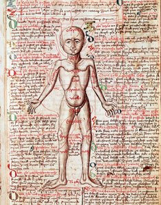 Människokroppsgravyr från "Tractatus de pestilentia"" 1400-talet - Prag, Nationalbiblioteket av Unknown artist