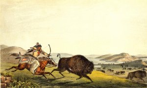 Jagar bison i Nordamerika. sd. 1800-talet. av Unknown artist