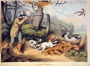 Jakt på fasaner i England. 1800-talsgravyr. Gien, jaktmuseum av Unknown artist