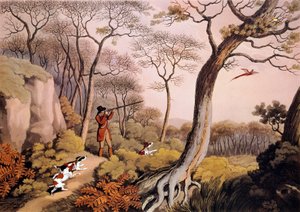 Jakt på fasaner i England. 1800-talsgravyr. Gien, jaktmuseum av Unknown artist