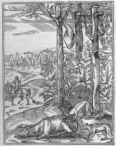 Jaga vargen: utkik. Faksimil (Facsimile) av en trägravyr från 1500-talet. Gravyr i "" Nature: granskning av vetenskaperna och deras tillämpningar på konst och industri "" av den 9 april 1892. av Unknown artist