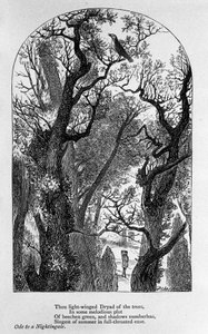 Illustration till "" Ode till en näktergal"" av poeten John Keats (1795-1821) 1800-talet av Unknown artist
