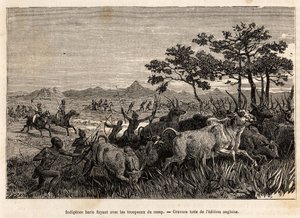 Inhemska baris (befolkning av Sudan) vapen av båge och pilar, flyr med flockarna konfiskerade av Sir Baker, för att förhindra dem från att attackera andra stammar i regionen, för att plundra dem och förslava dem, en gravyr som illustrerar en beväpnad expe av Unknown artist