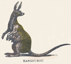 K: känguru av Unknown artist