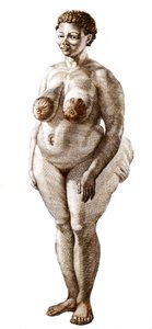 La Venus Hottentote, kvinna av rasen Bochiman (The Hottentot Venus,) gravyr från 1815. av Unknown artist