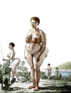 La Venus Hottentote, kvinna av rasen Bochiman (The Hottentot Venus,) gravyr från 1815. av Unknown artist
