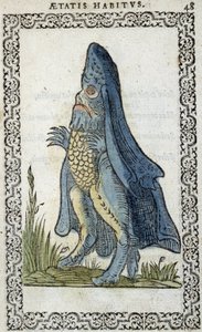 Sjöborren - i "" Habits and effigies"" av Jean Sluperius av Unknown artist