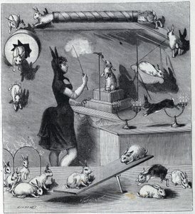 Les rabbits dresses du Nouveau Cirque i Paris: tramper i kaninkostym som lär djuret de olika siffrorna. Gravyr i "" La Nature"" 1890. Privat samling. av Unknown artist