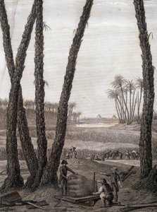 Memphis, utsikt över ruinerna (vetenskapsmän och arbetande konstnärer) - i "" Beskrivning av Egypten", Imperial Editions av Unknown artist