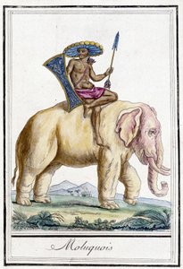 Molucquois man på en elefant (Molucquois, Indonesien). av Unknown artist
