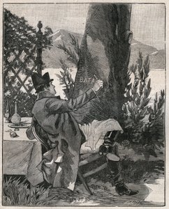 Napoleon Bonaparte (1769-1821) skrev ordet "Bataglia" på stammen av ett lagerträd på ön Isola Bella vid Maggioresjön (Lago Maggiore), tre dagar före slaget vid Marengo år 1800. Gravyr från 1885 i "" Les arts et metiers illustres” av Unknown artist