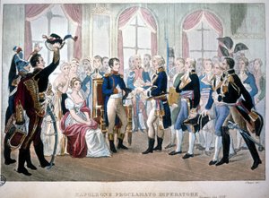 Napoleon utropades till kejsare 1804. av Unknown artist