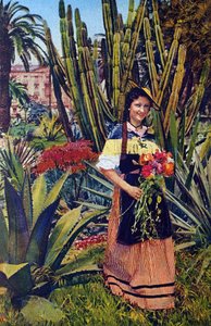 Nicoise. Vykort från omkring 1930. Kommunarkivet i Nice. av Unknown Artist