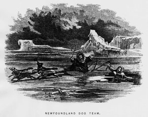 Nordpolen: slädhund svävar en man faller genom isen - Elisha Kent Kane, Arctic Explorations in the years 1853-1855, Philadelphia, Childs and Peterson av Unknown artist