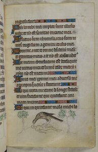 Sida från "The Queen Mary Psalter av Unknown Artist