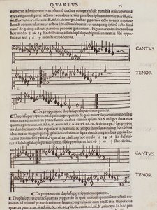 Sidan hämtad från Franchino Gaffurios Practice of Music av Unknown artist