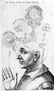 Fysiognomibild (frenologi) från The Collected Works of Robert Fludd (Robertus de Fludd). London 1617 av Unknown artist