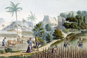 Pilling och plantering av ris på Guam Island (Mikronesien) av Unknown artist